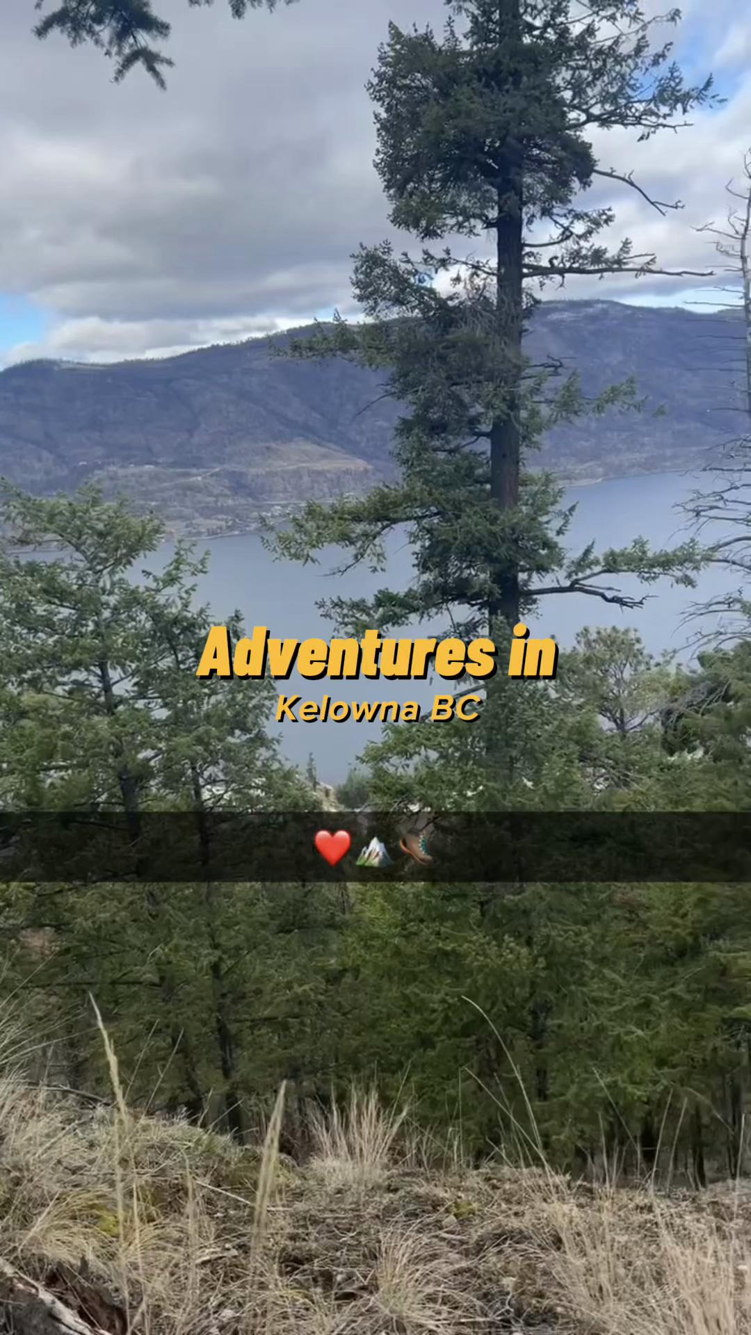@WildBoreal 🇨🇦