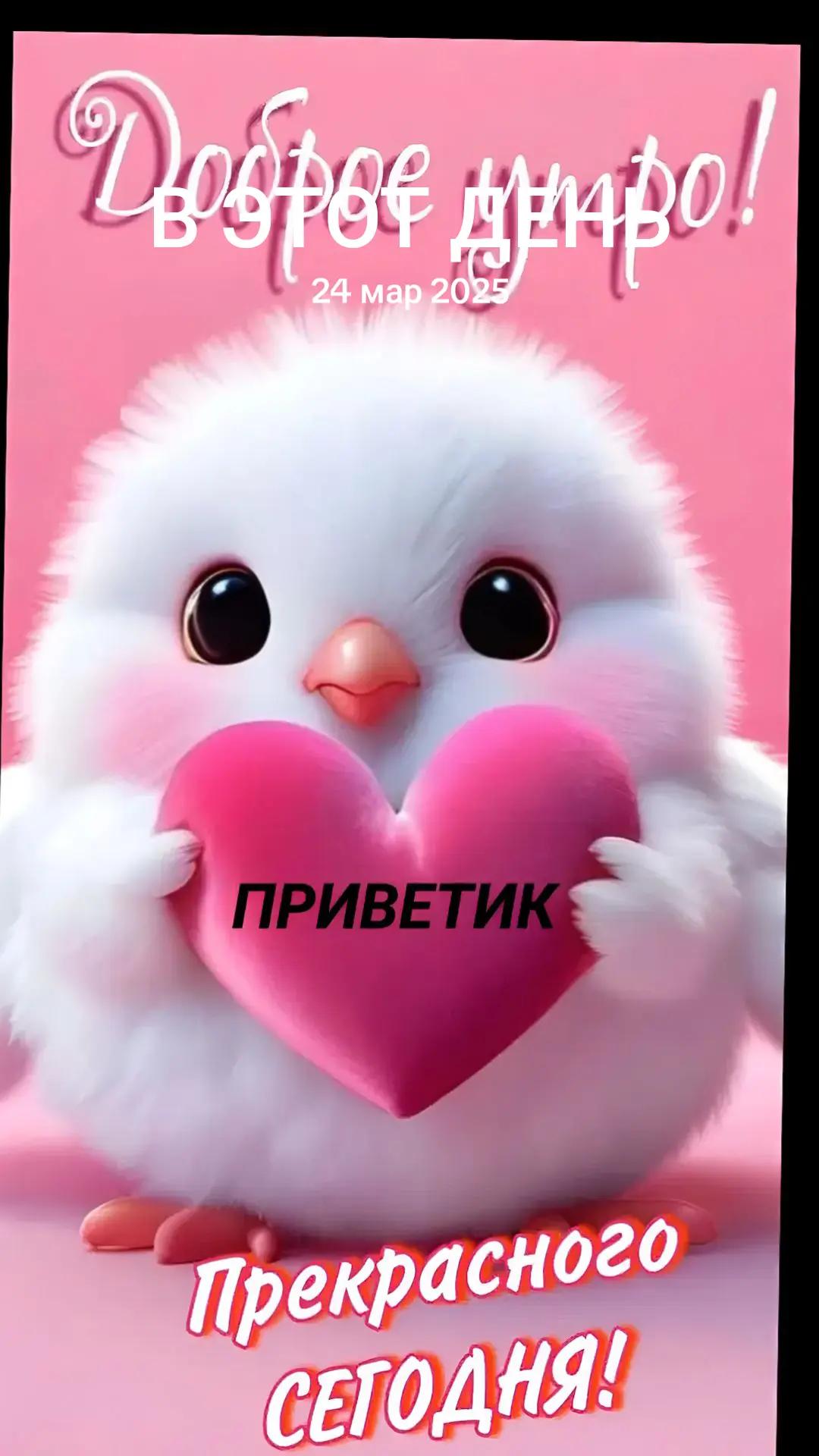 @galina56is
