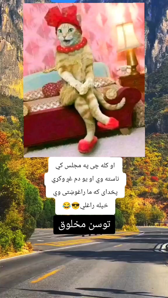 @😉_👻_حاجي_زوي_👻_😉