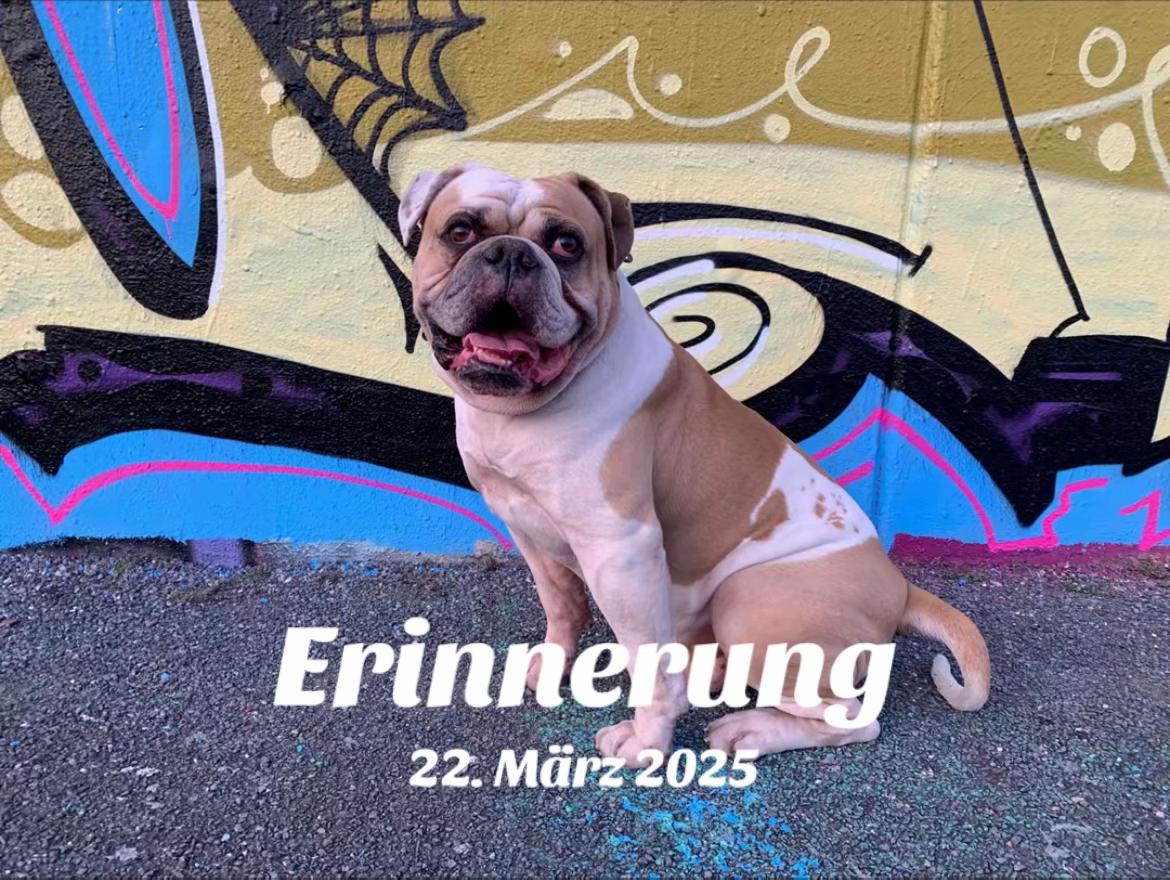 @Stephan Kalle