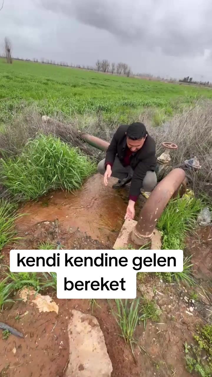 @bakır arslan