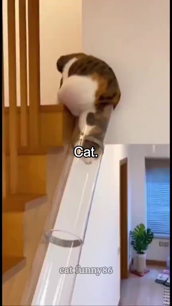 @>_&times;✓😝😝