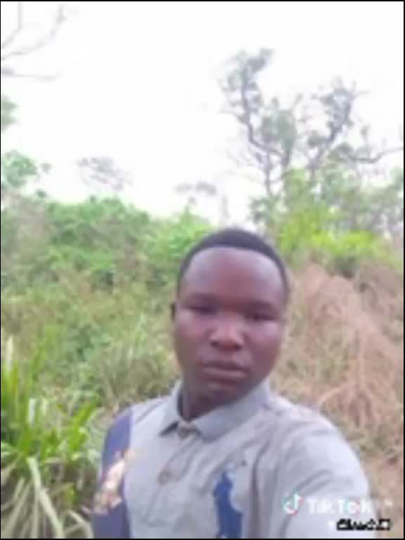 @bing lioo