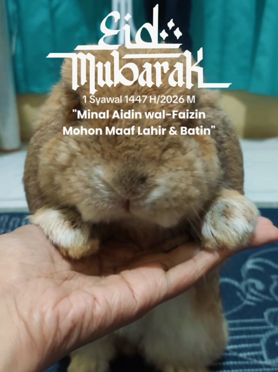 @Zada The Bunny