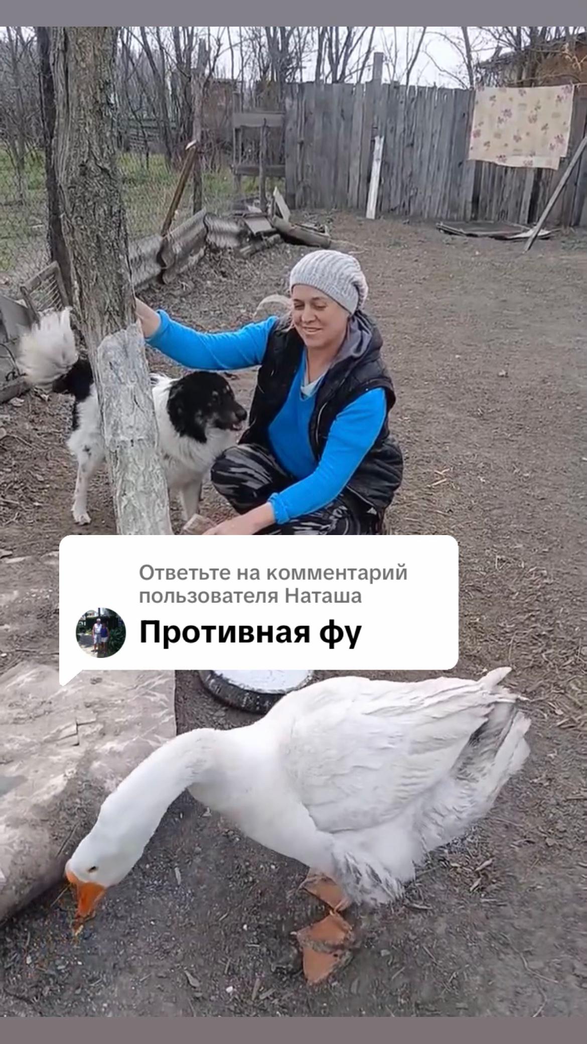 @Семейный Хуторок