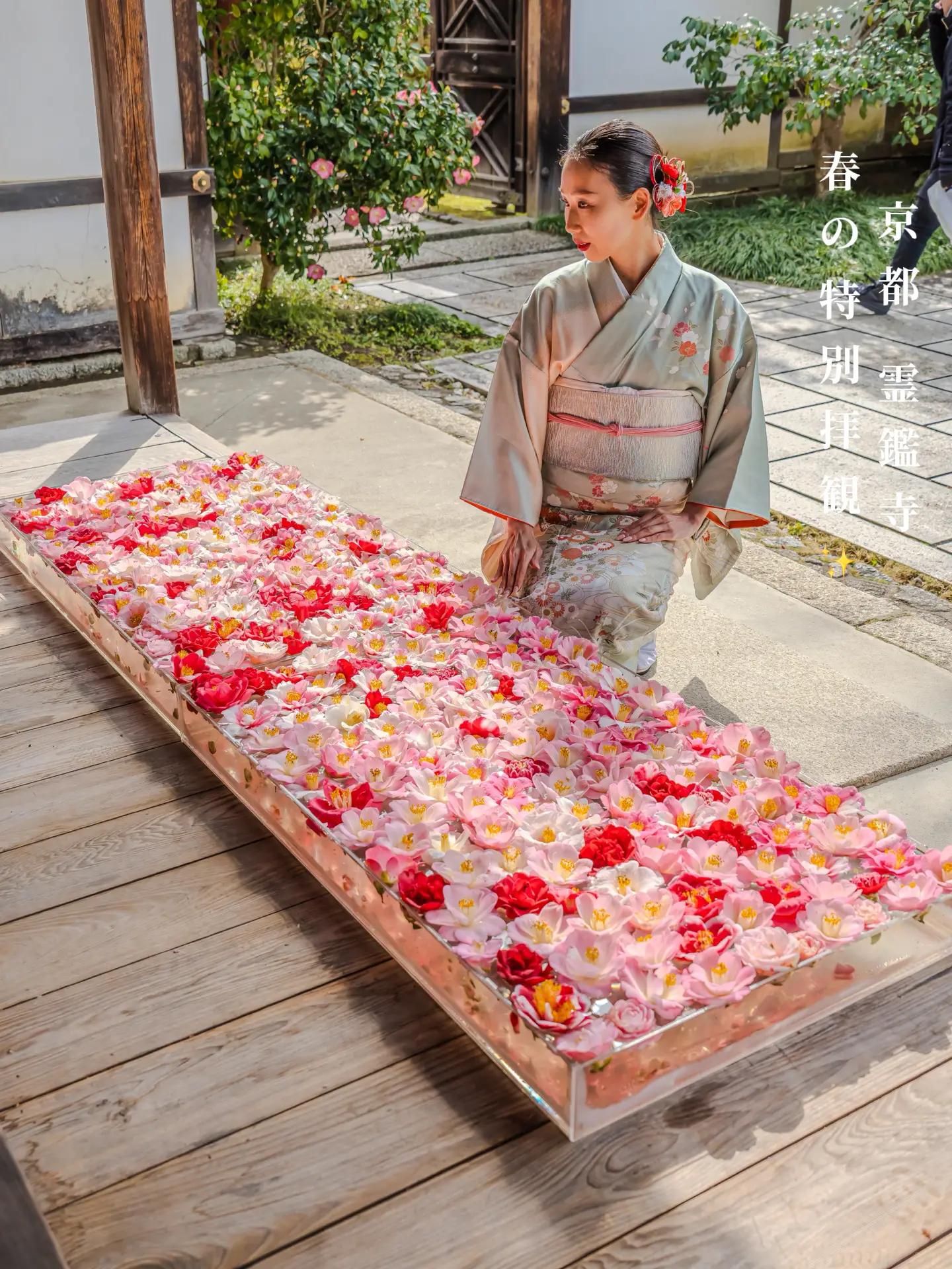 @kyoto_ken