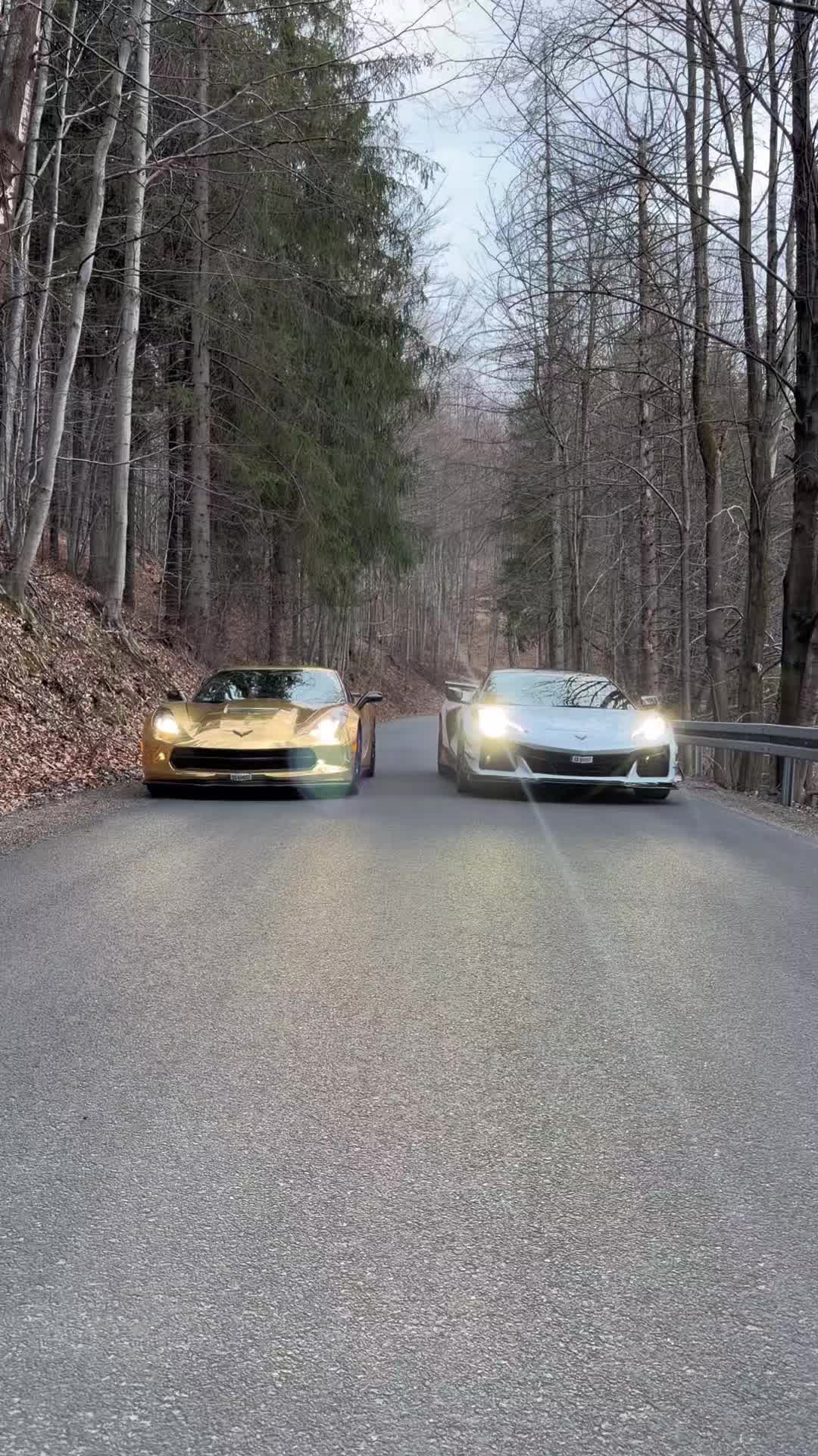 @Golden Cars