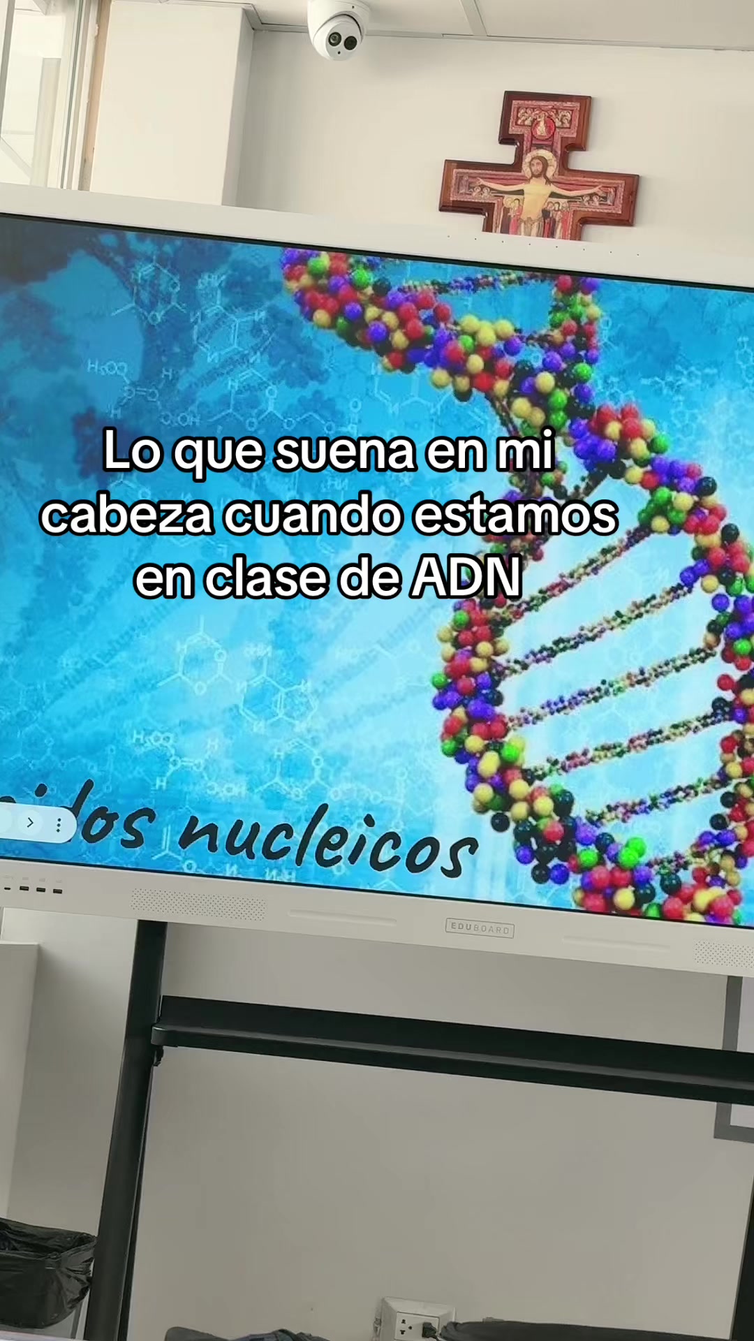 @Noshe
