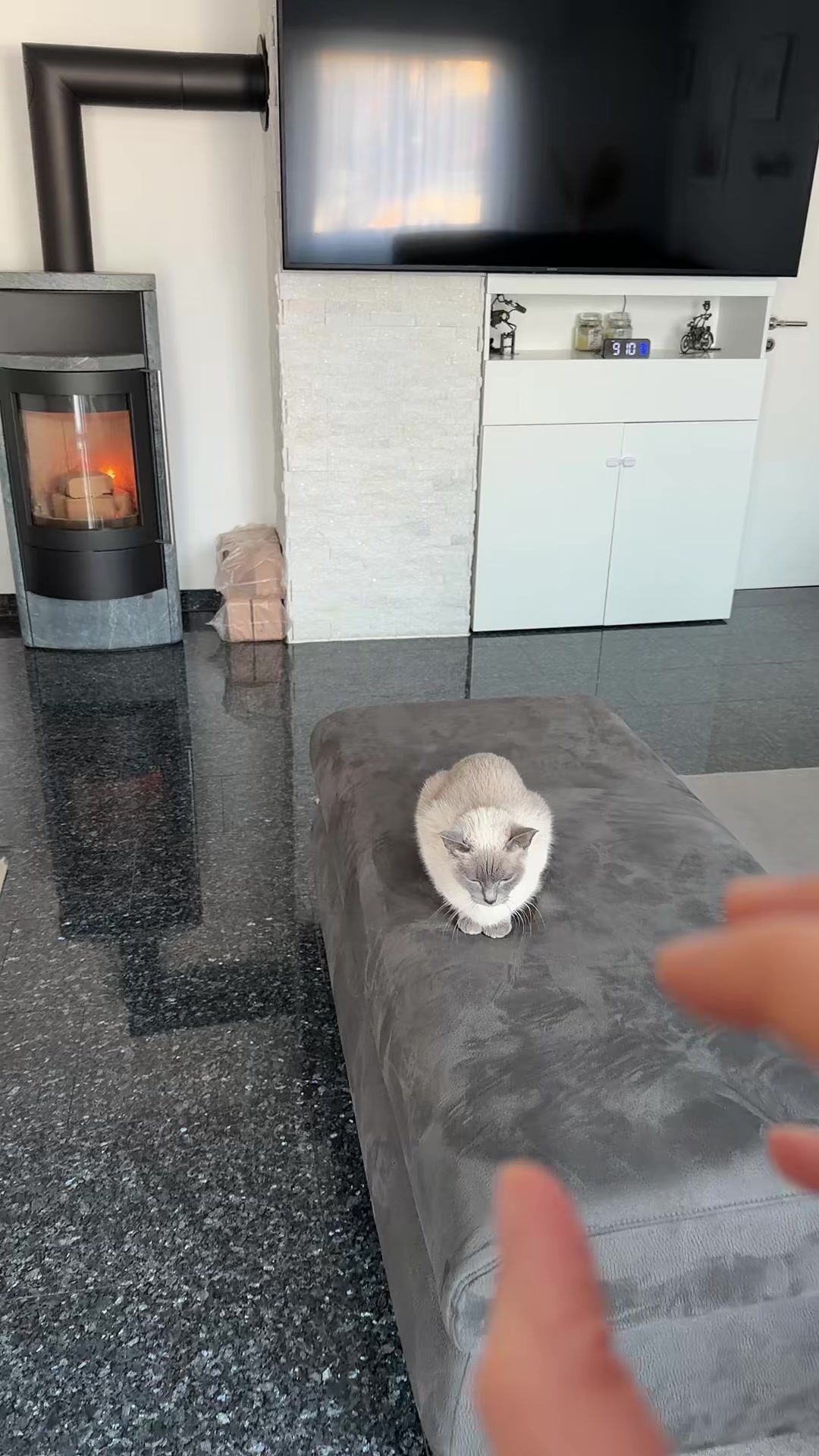 @TugbasCats