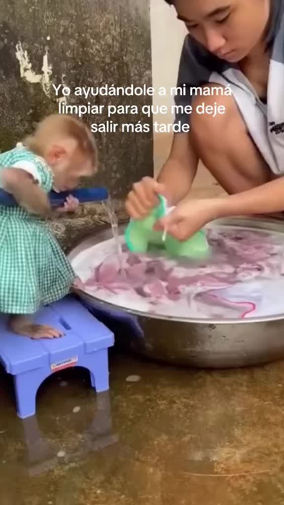 @jaremonox