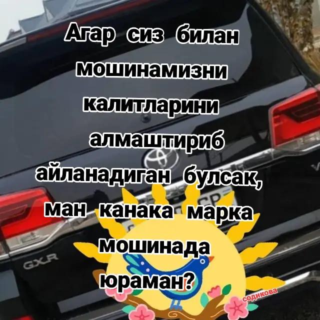 @mts999