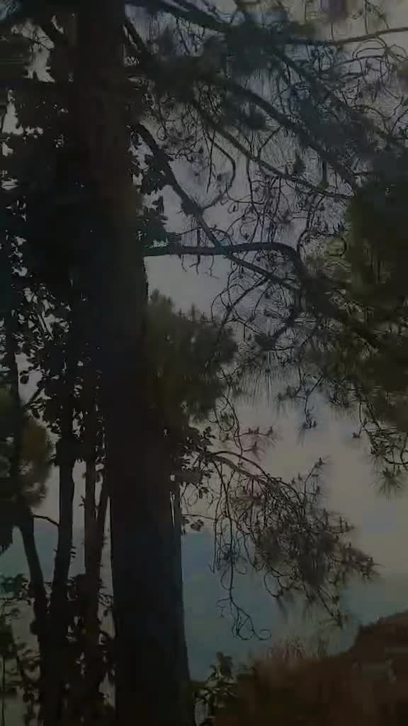 @😭😭😭