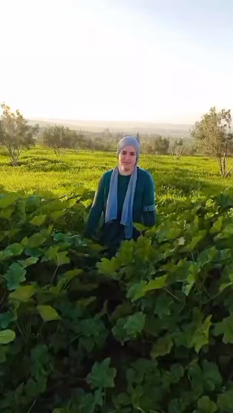 @زهيرة القلب الطيب