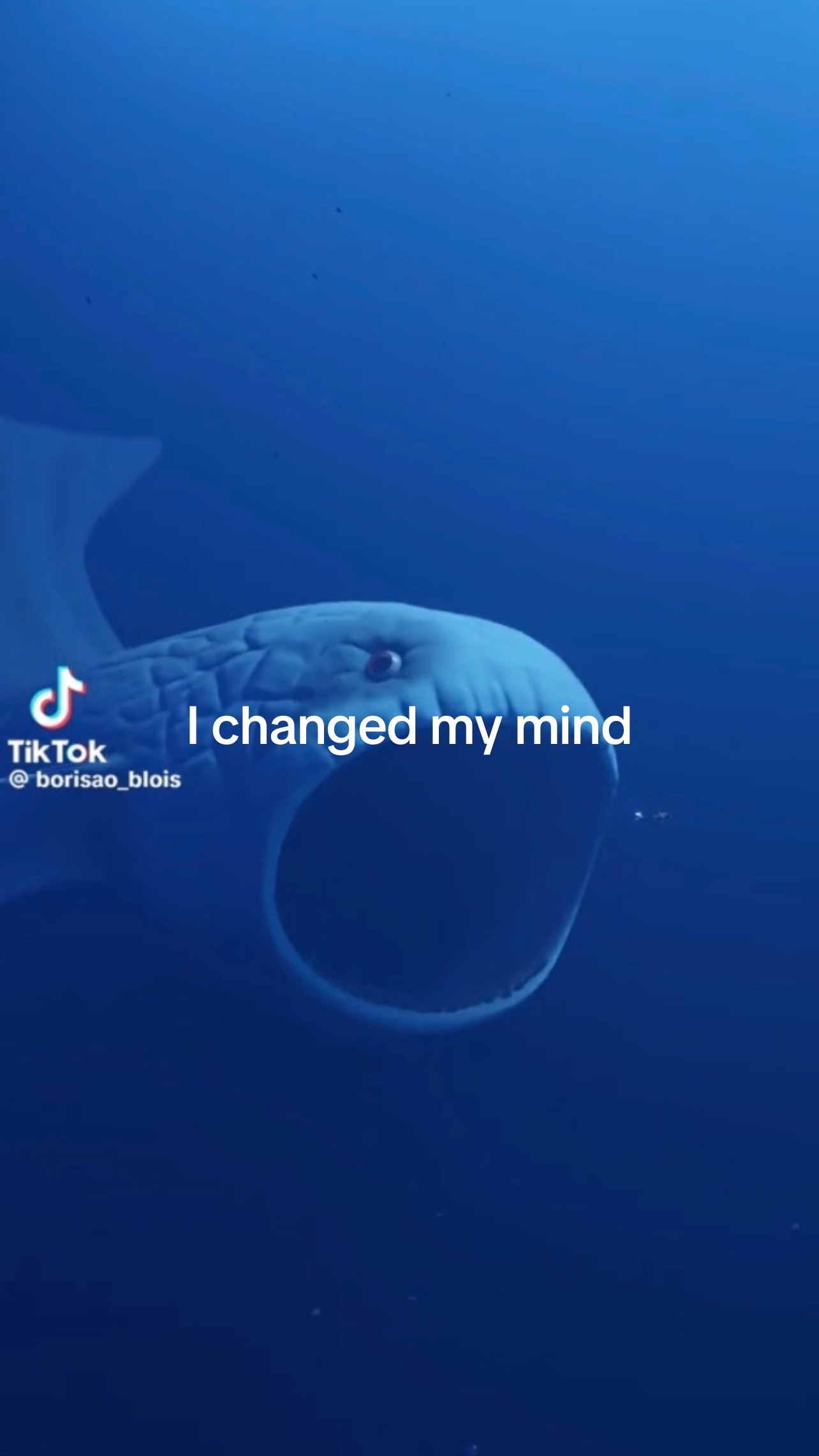 @Bloop🫍🫪🪎🧑&zwj;🩰🫈🫯🛘🪊