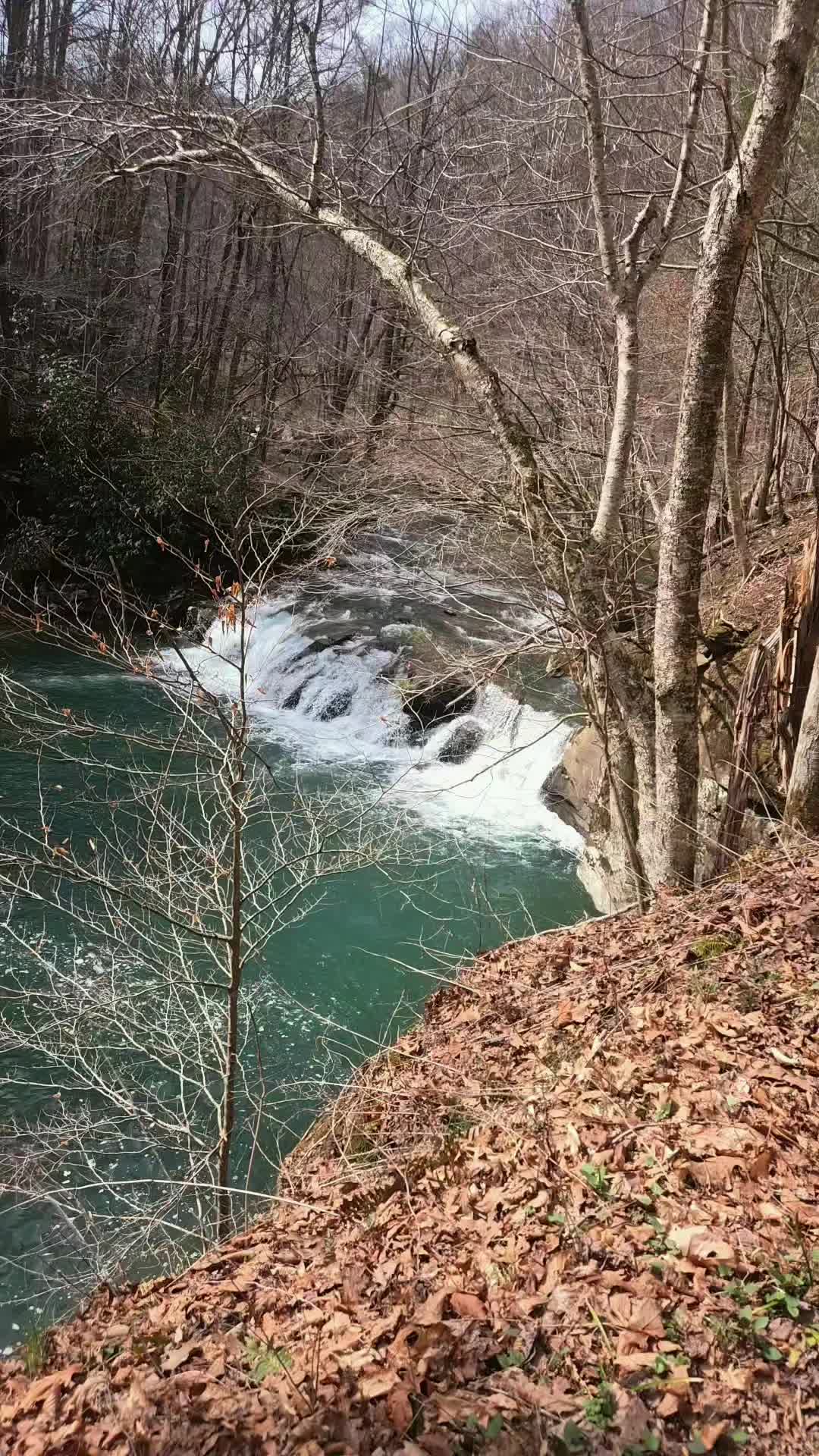 @jackekincaidwv