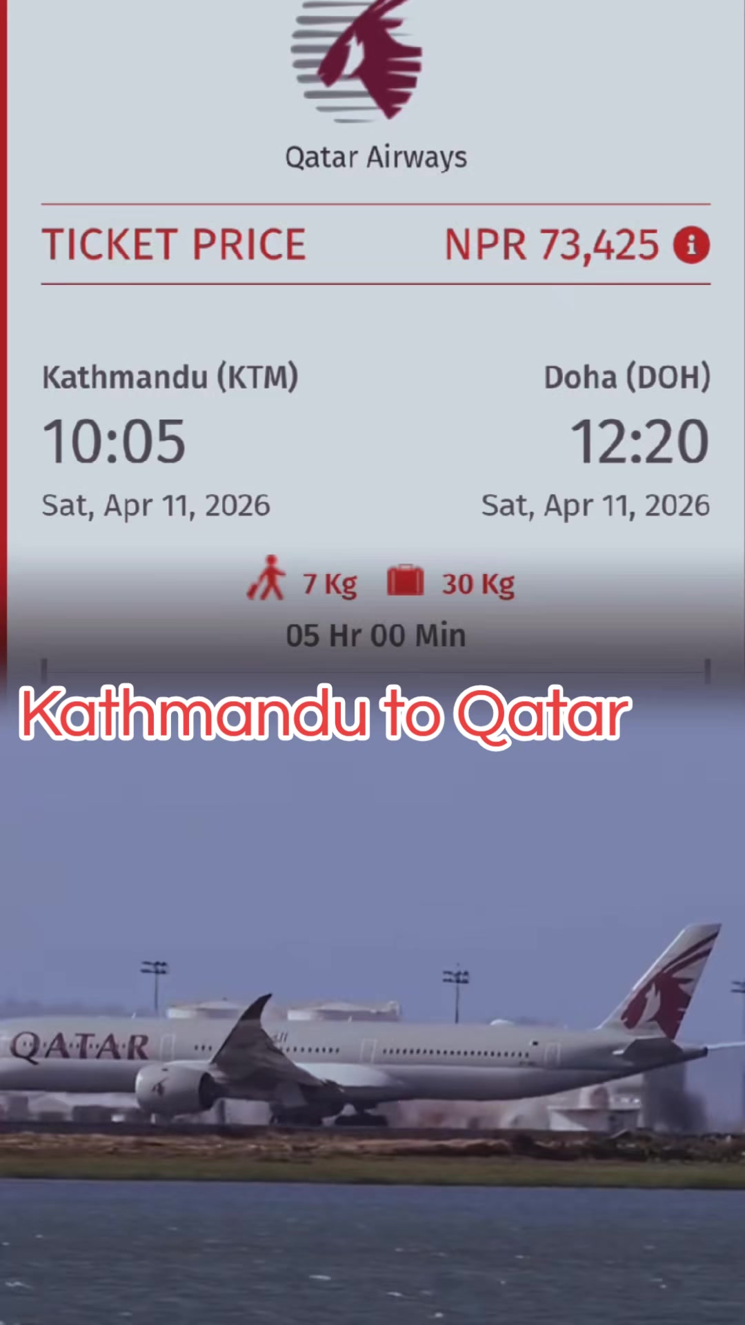 @Sasto  Flight Ticket✈️