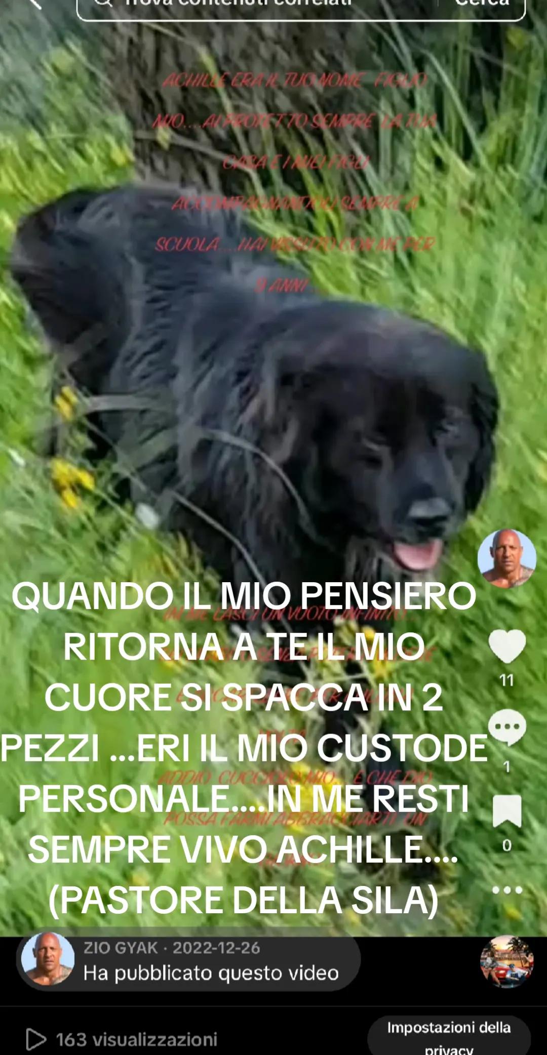 @ZIO GYAK