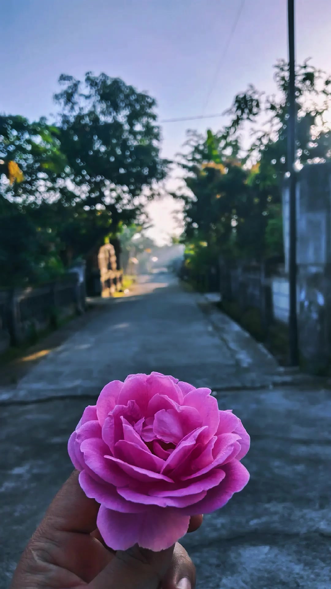 @handriyan99