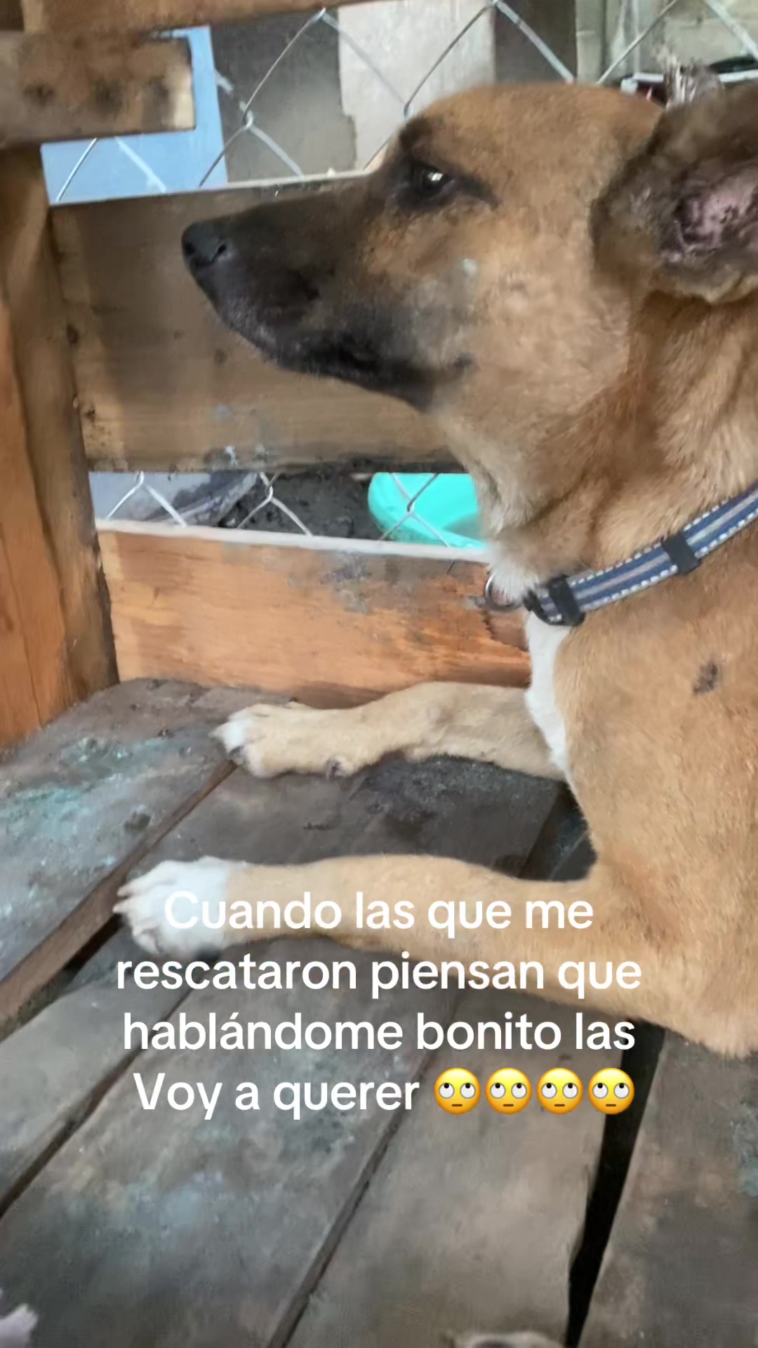@Blanca Chavez