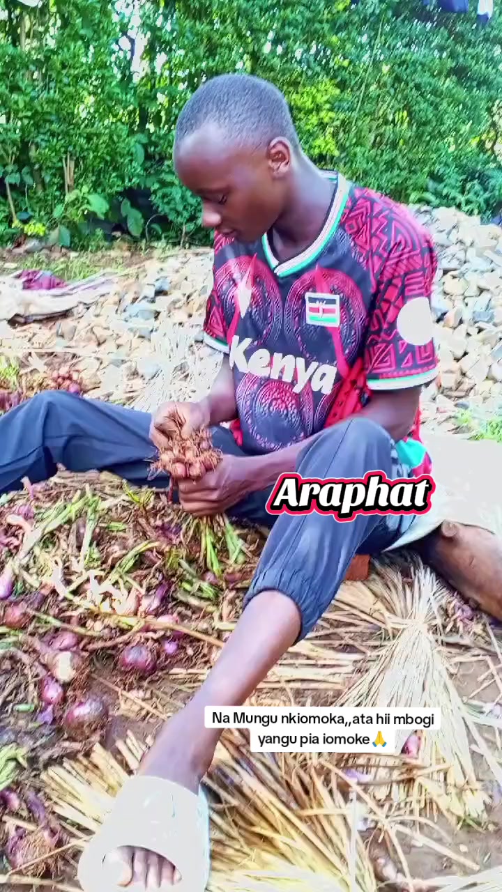 @allanchuchu2023