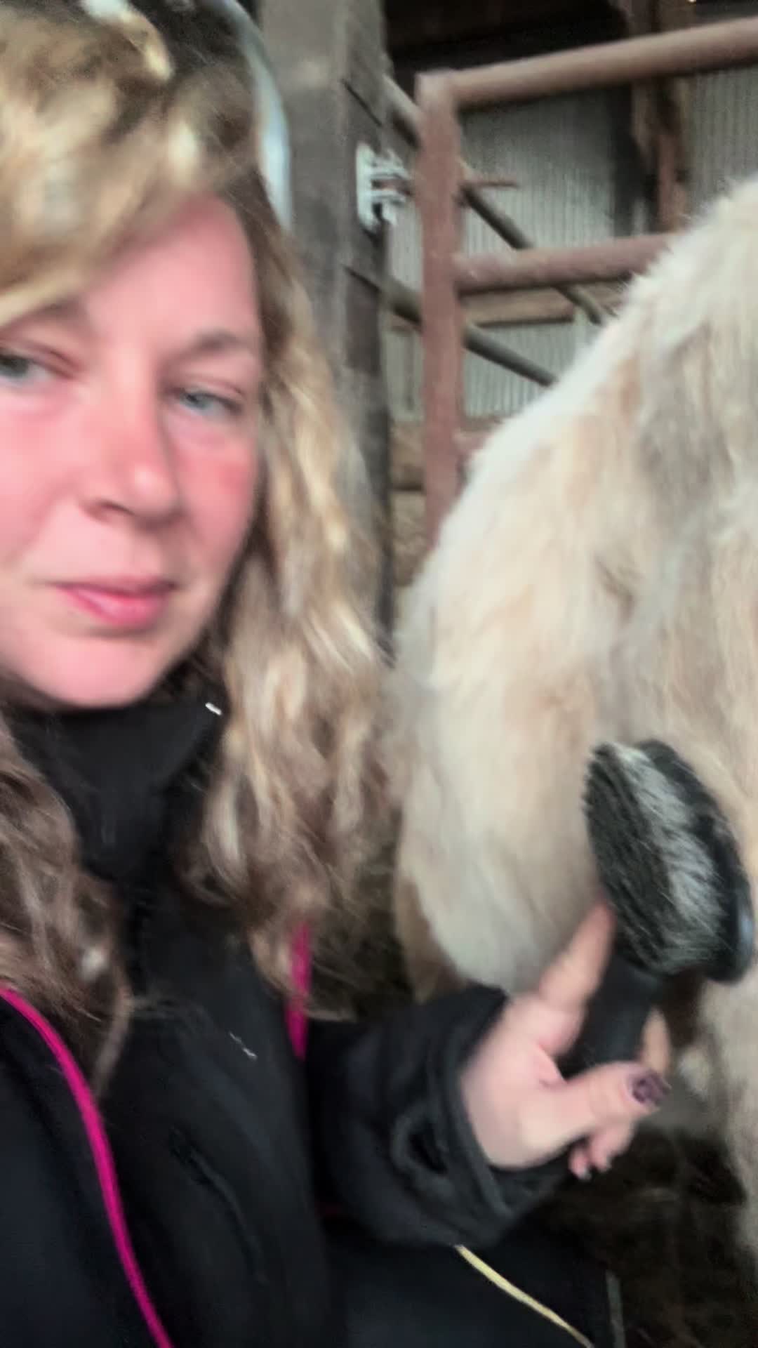 @ᏦᎥᎥᏦᏗᏗ 🌾🚜🐮