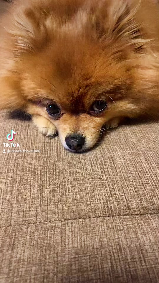 @Ирина Чижова