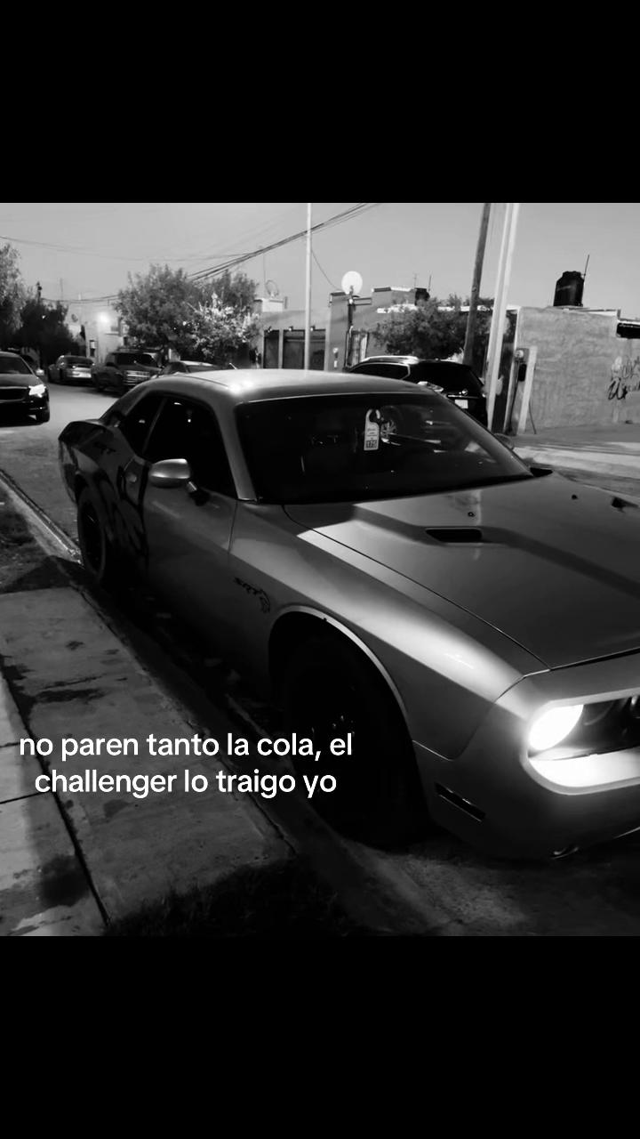 @gali_txrrezz