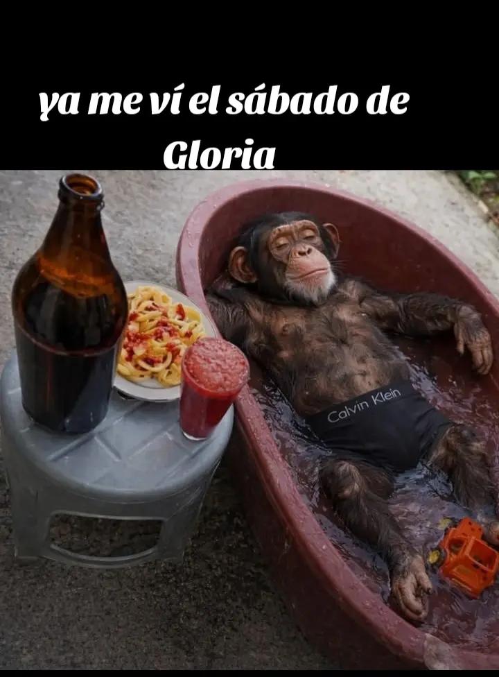 @Guillermo MoralesHernandez