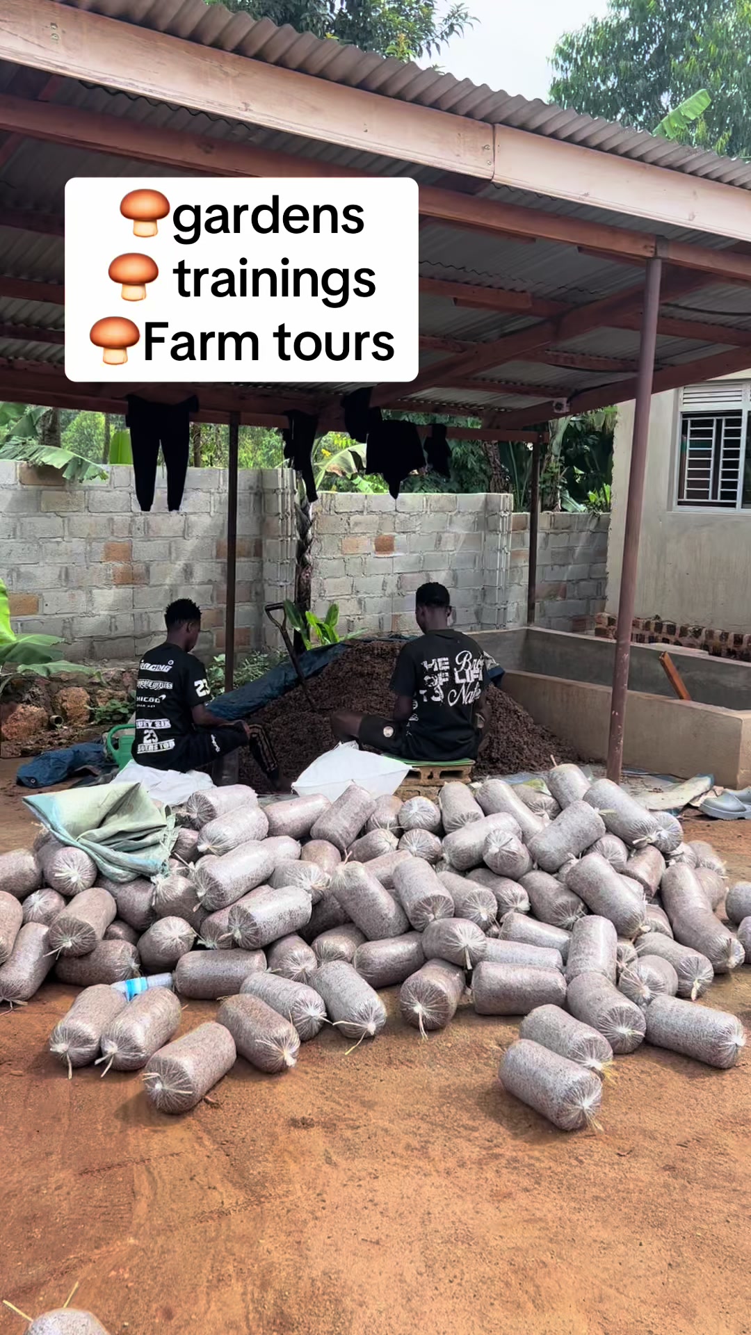 @Enjuba mushrooms