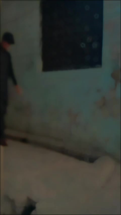 @Saeed Maher