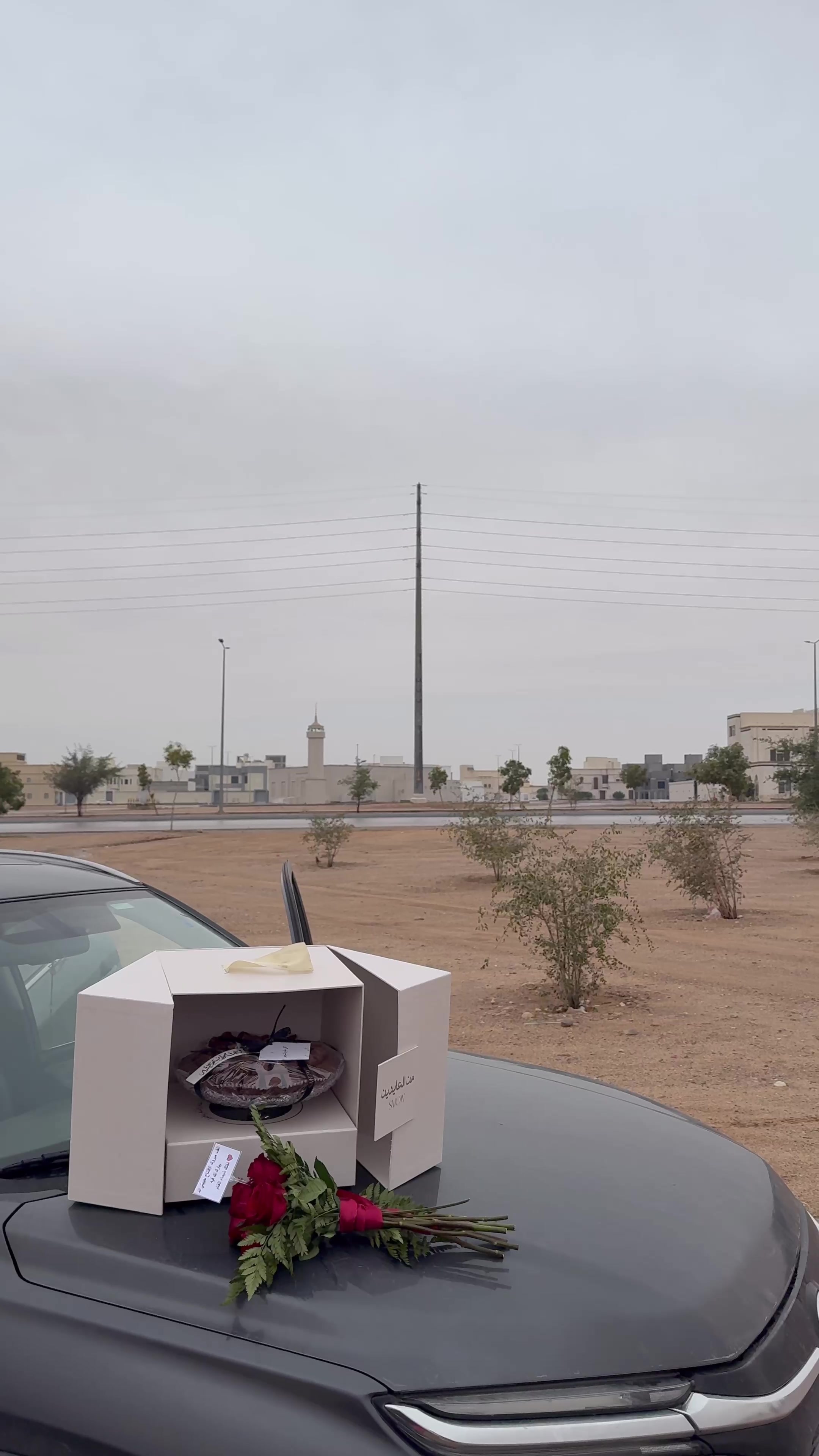 @ورد تغطيات الحفر