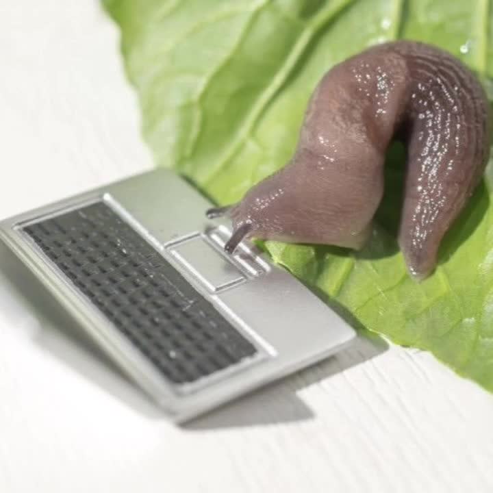 @weird side of internet