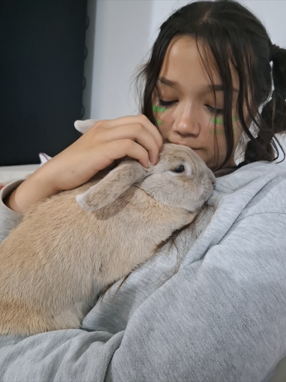 @Bunny Family