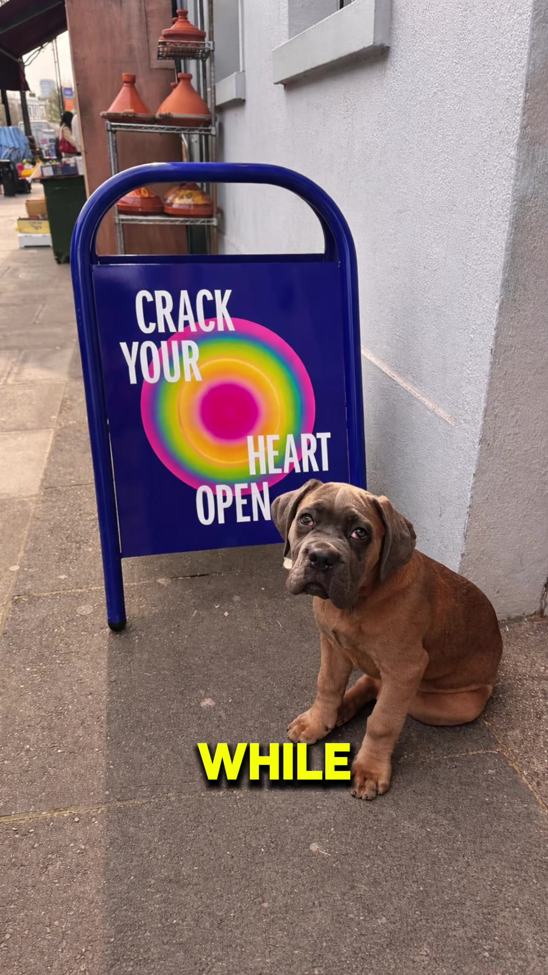 @Chicocanecorso
