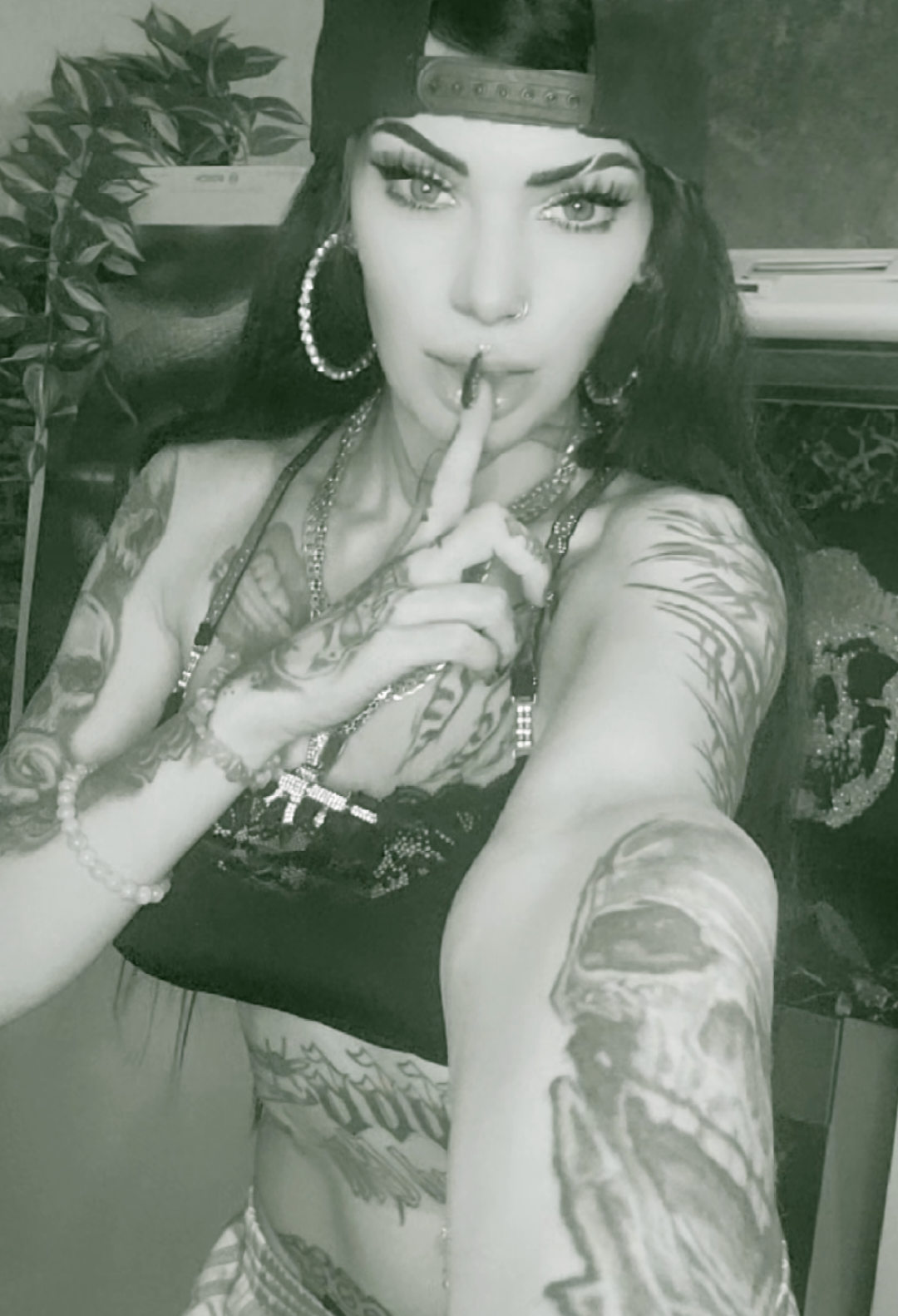 @♤🔥𝔇𝔦𝔟𝔦𝔞𝔫 ℭ𝔞𝔱 666🔥♤