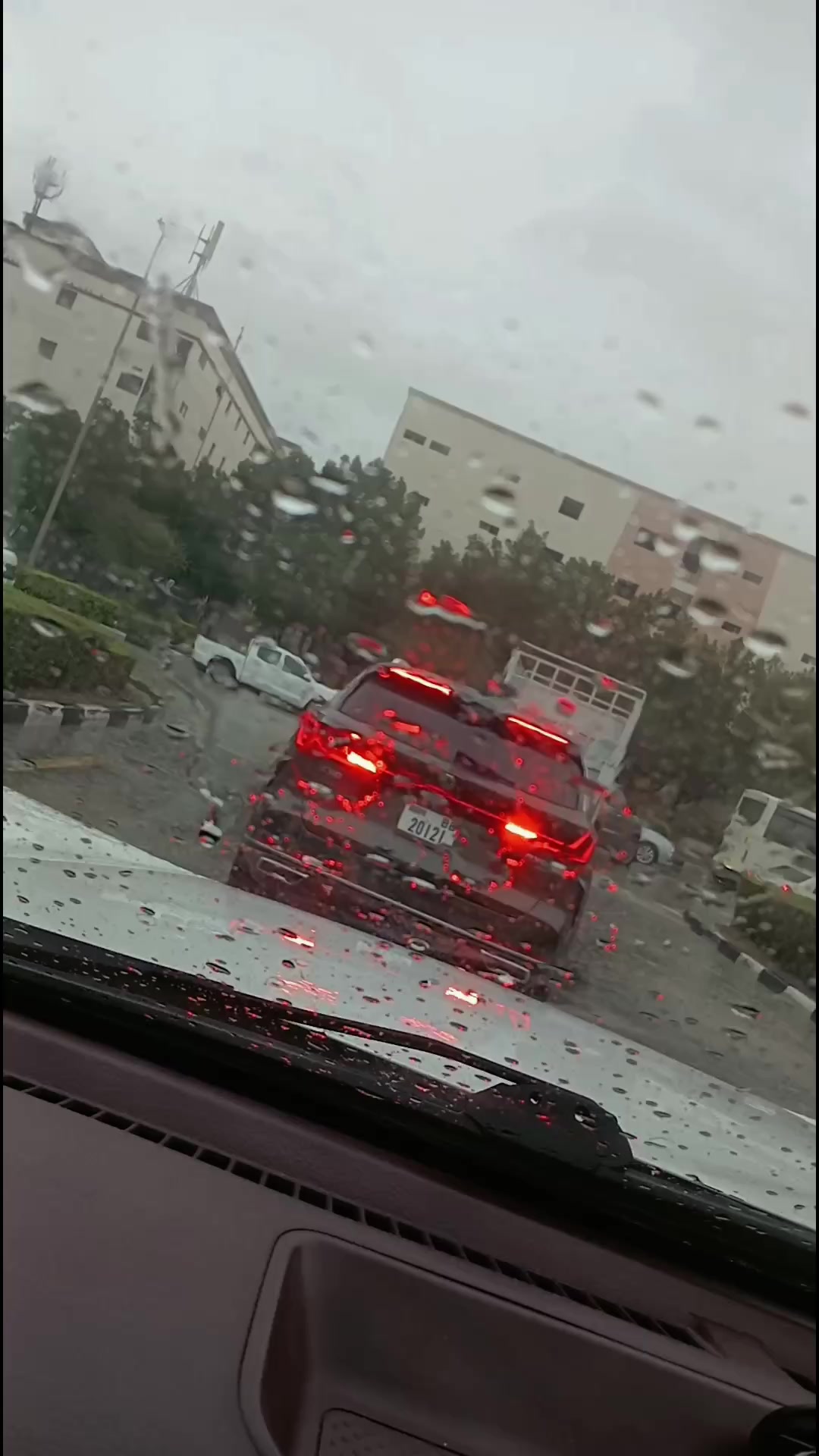 @🌈جنگلی لوگ🦅