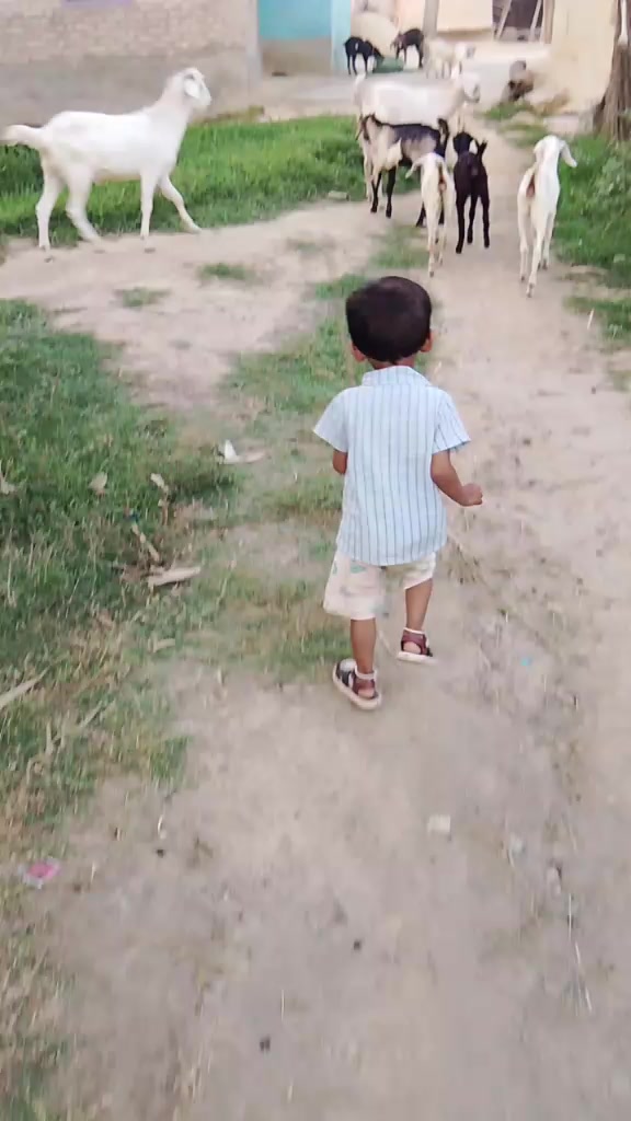 @pinkychaudhary644