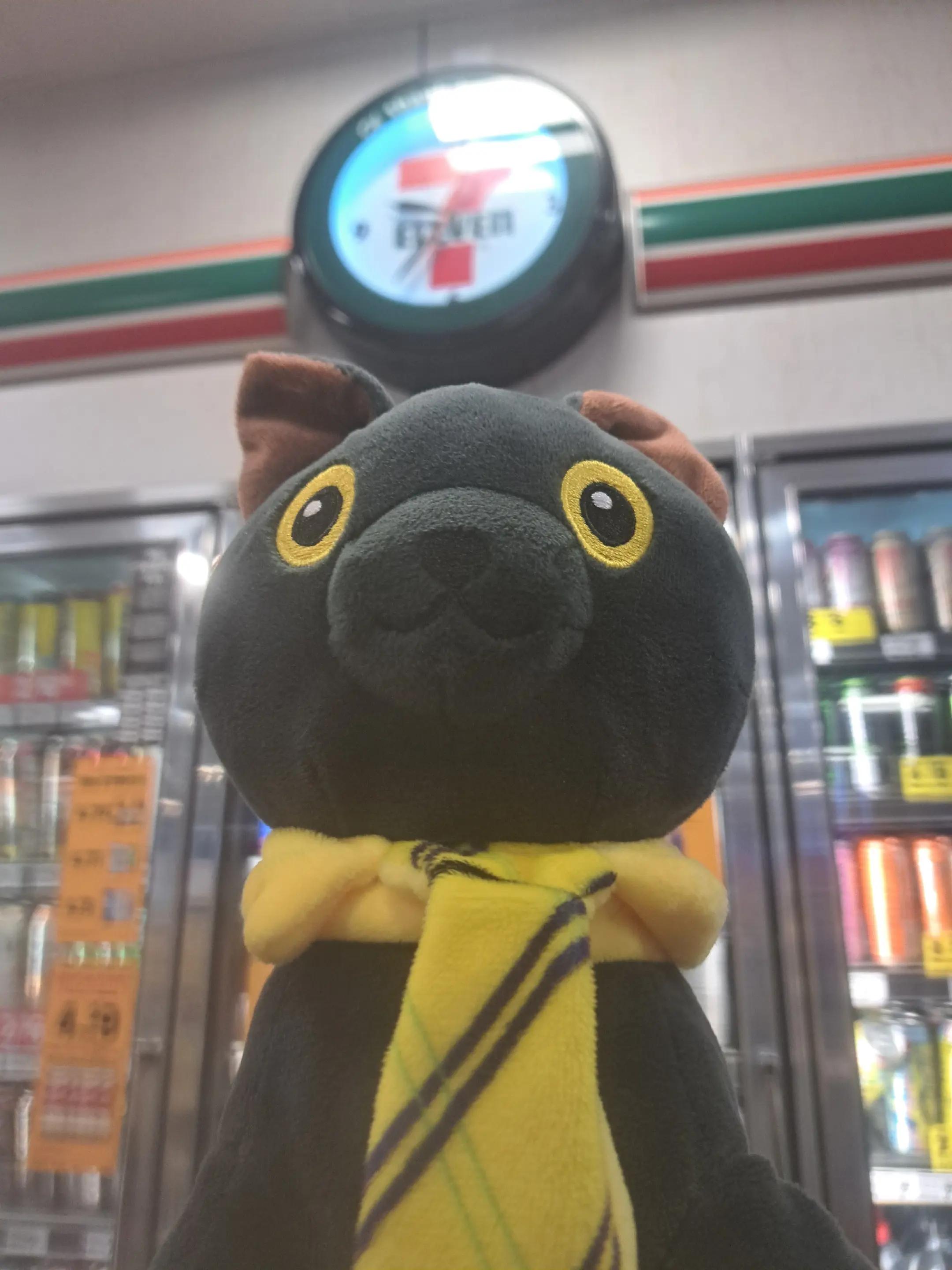 @sirmeowsalot HAVER 🐈&zwj;⬛👔