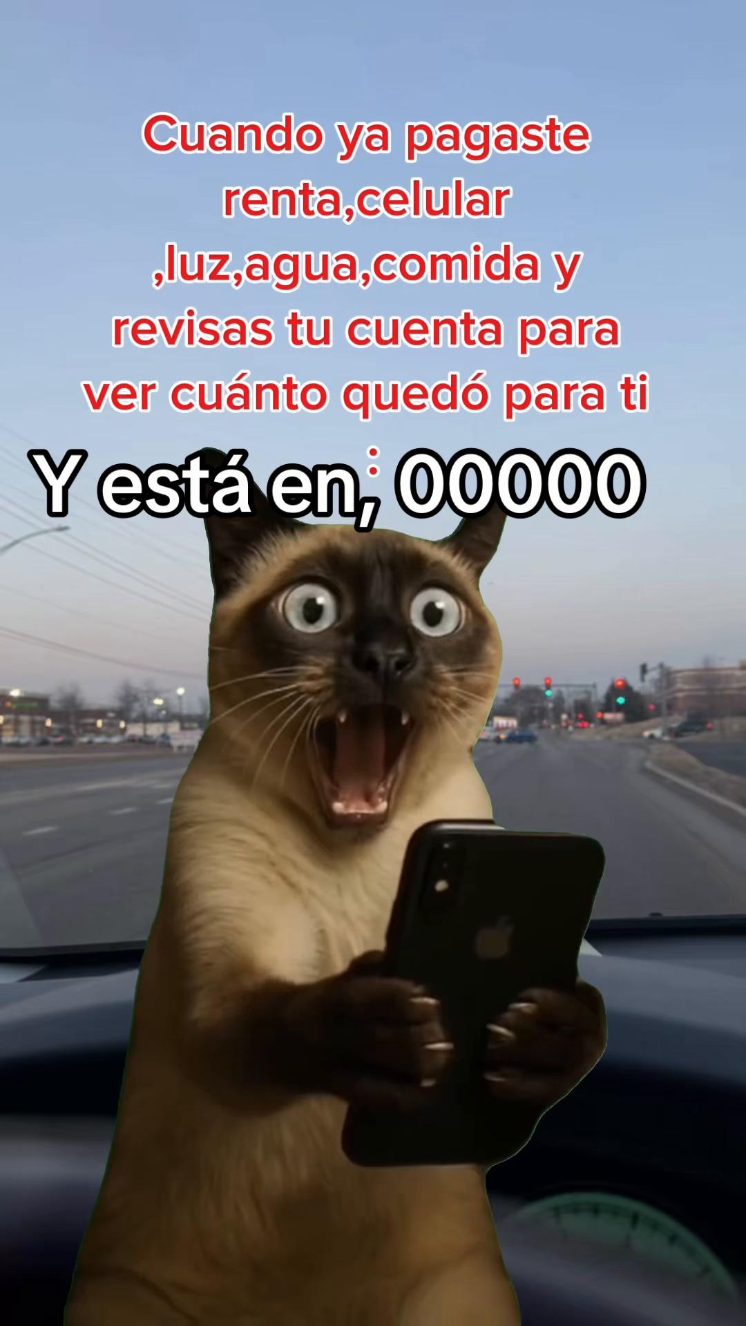 @Pleve04