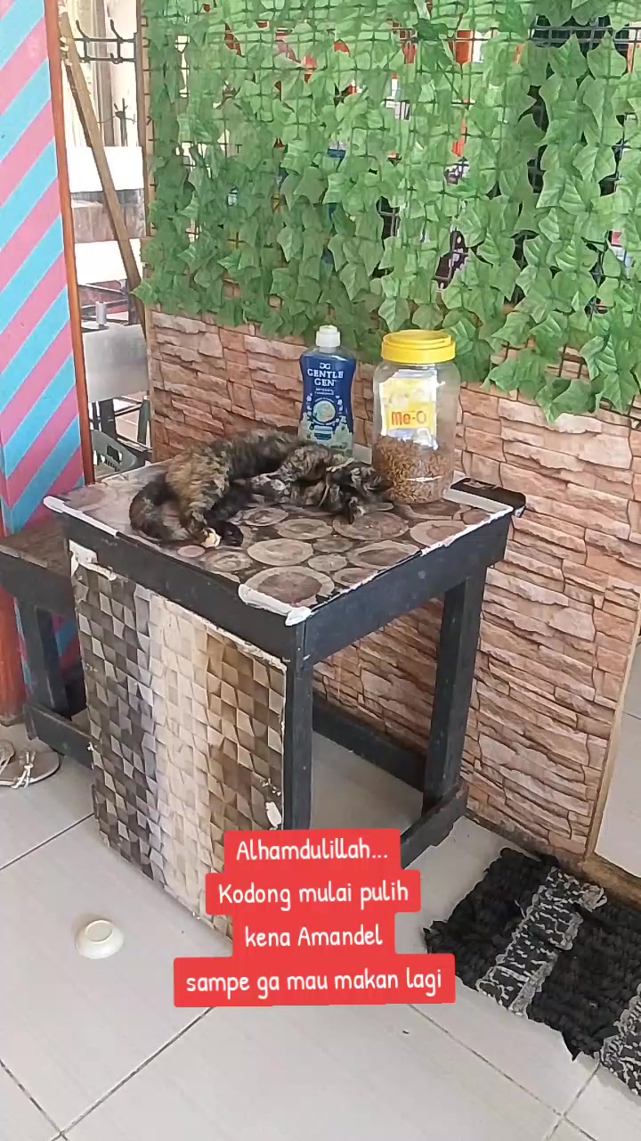 @😺Dermawan Spritual🌏