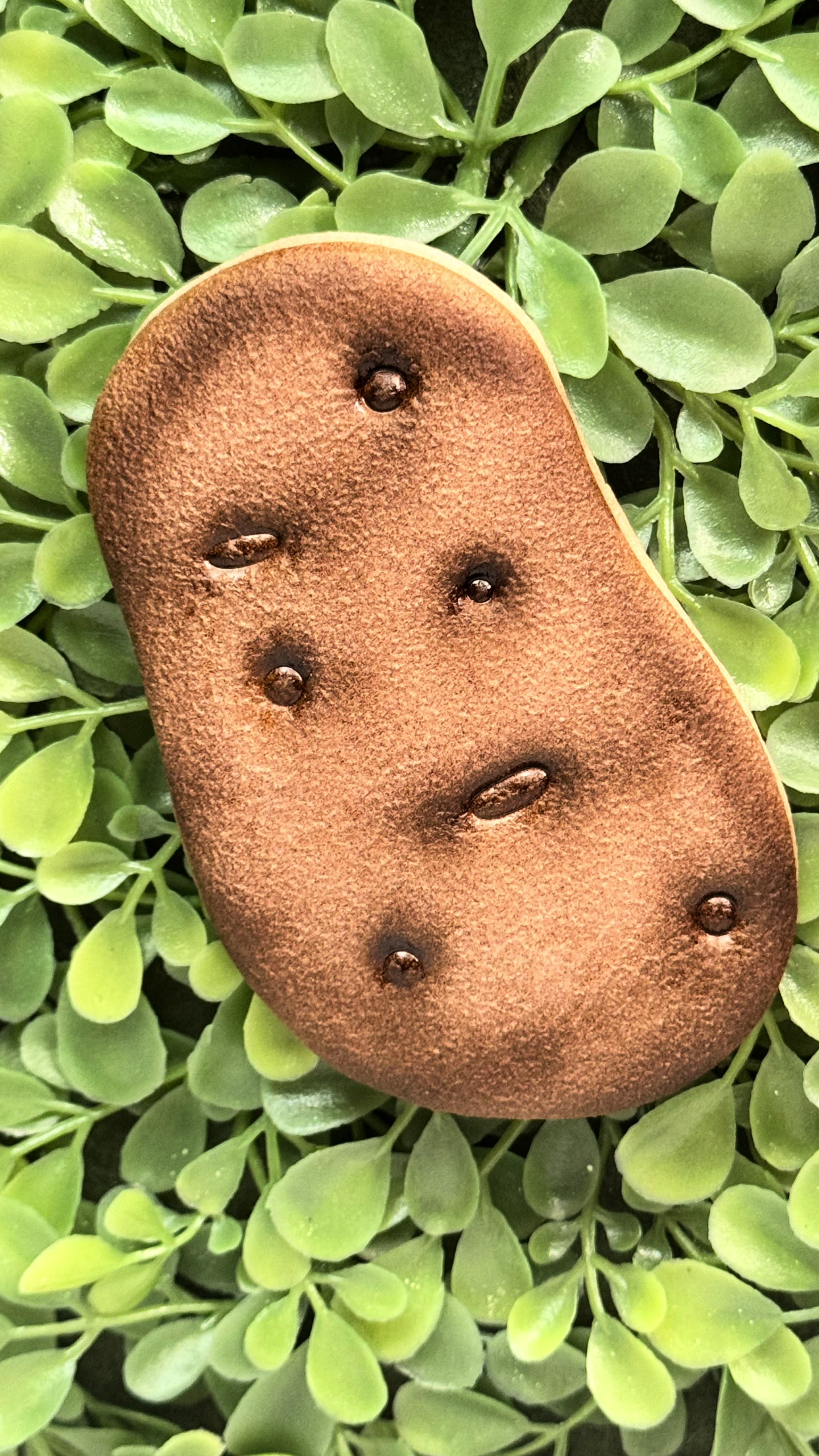 @Fine Line Cookie Designs