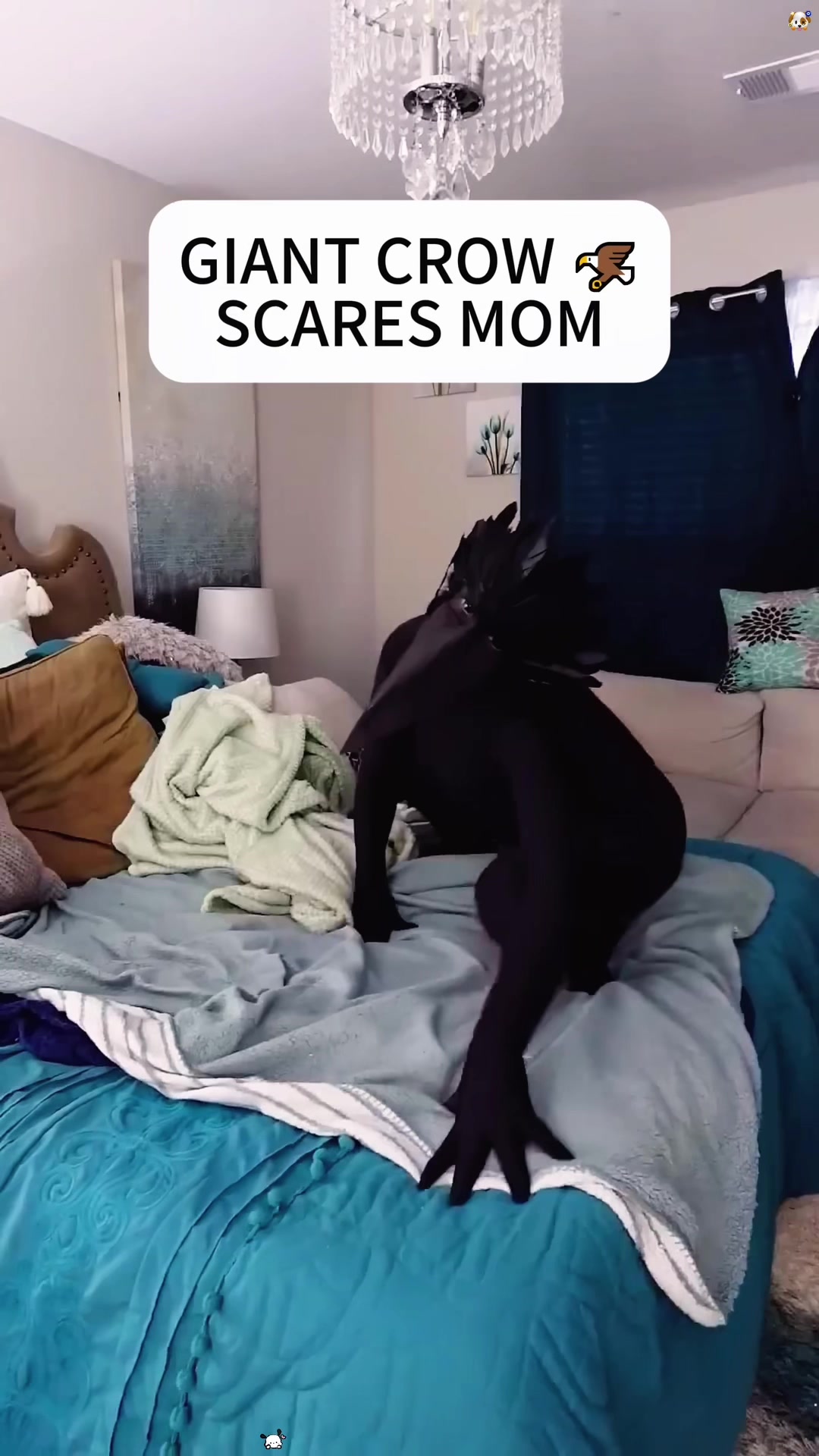 @lolmoments6802
