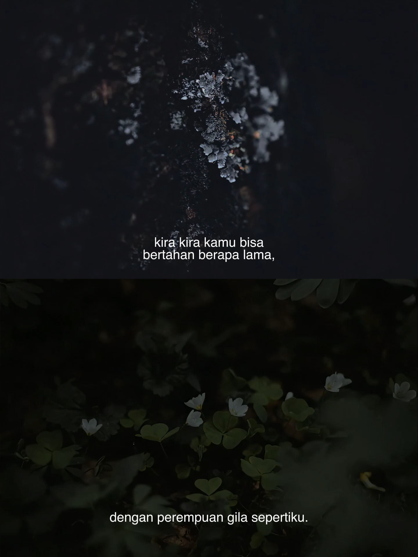 @Satu November