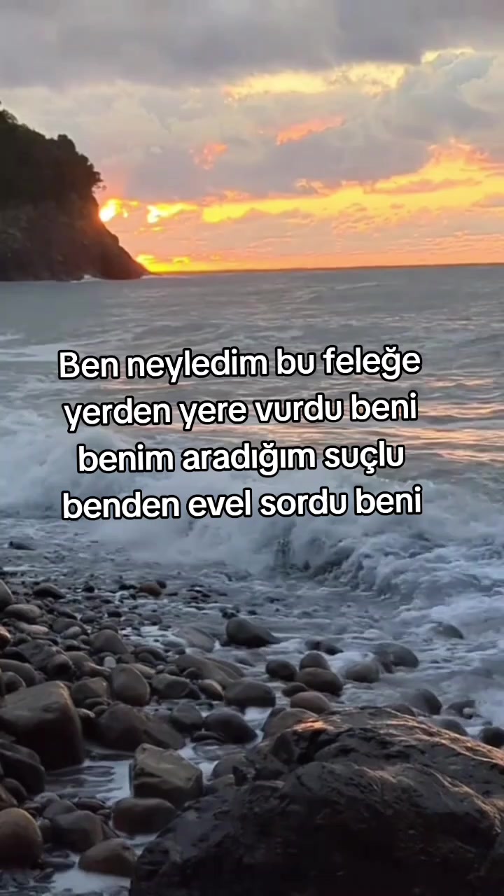 @Yildiz Rizeli 53 34