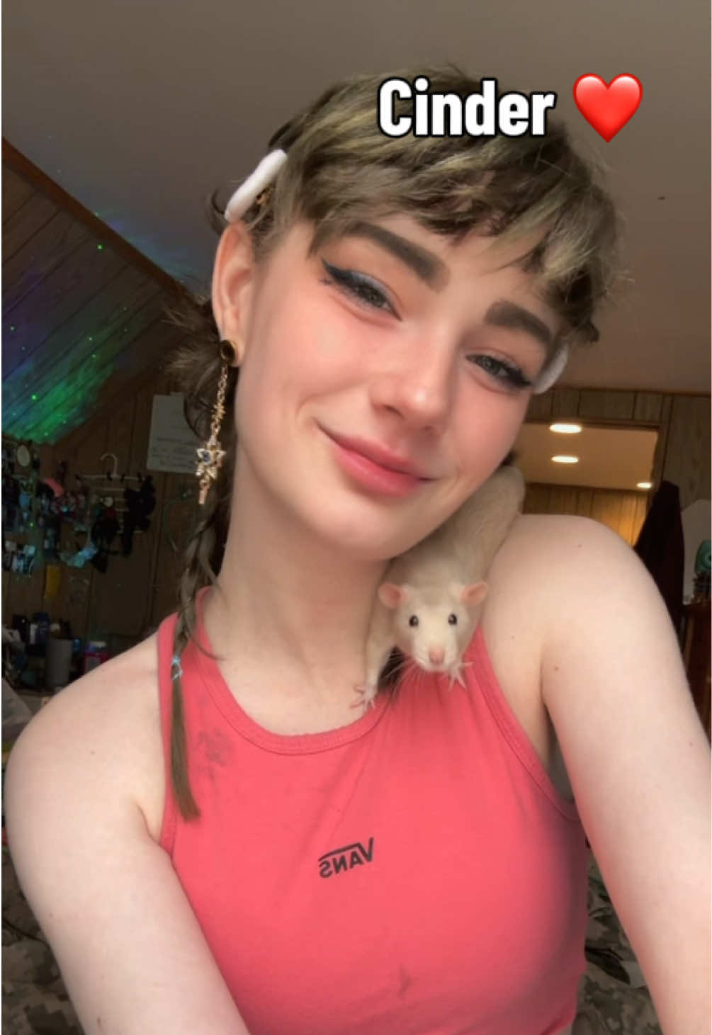 @lookatmyrodents