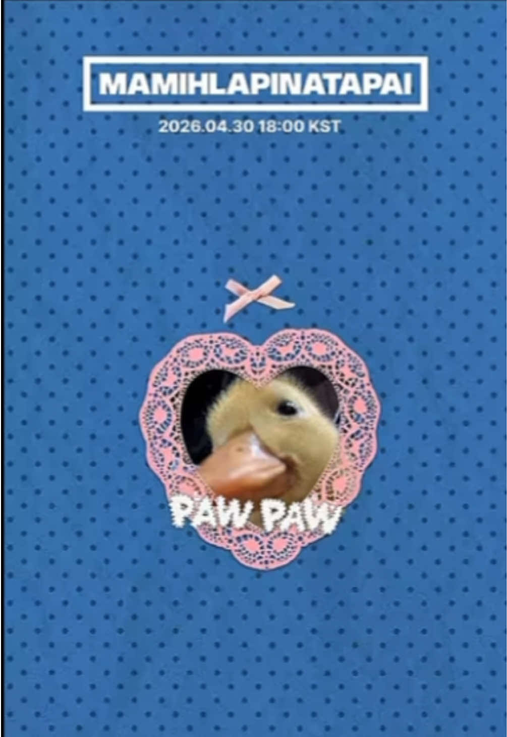 @#1_wonhee_kisser🥺