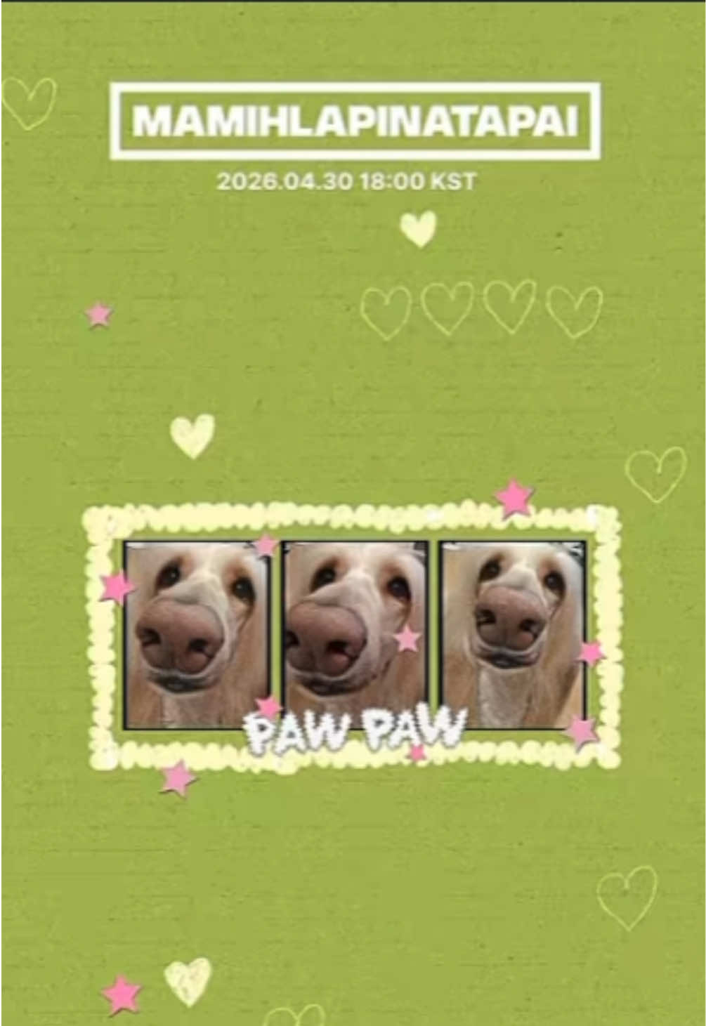 @#1_wonhee_kisser🥺