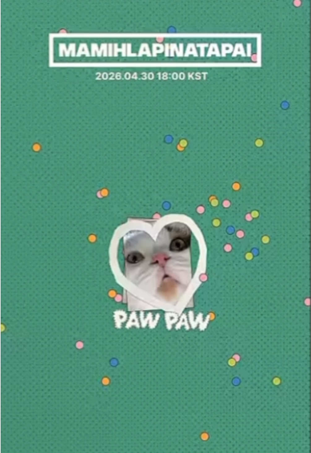 @#1_wonhee_kisser🥺