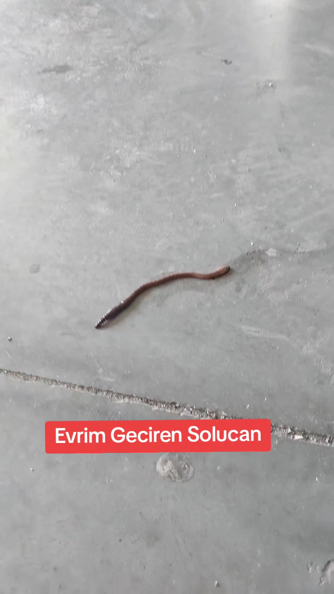 @TAKİP&Ccedil;İ Ozkan72Live