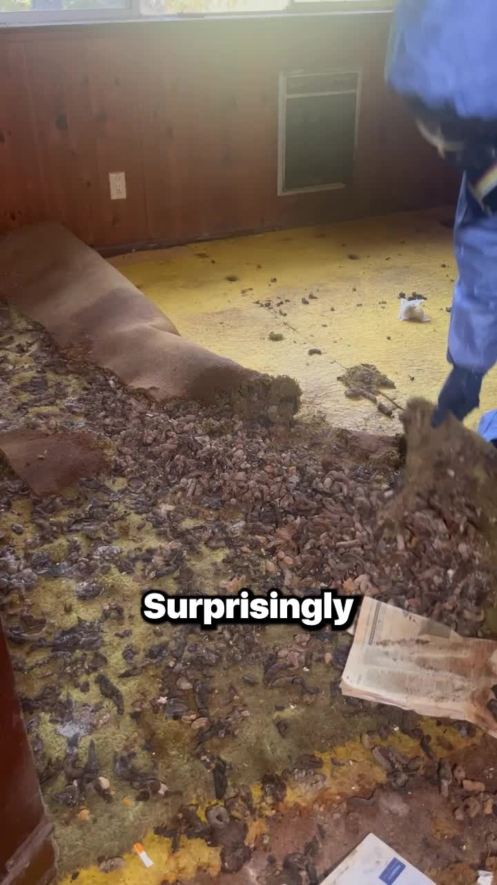 @Biggie Clean